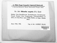Image Associated With the Occurence